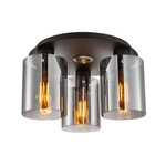 Lampa sufitowa Sardo (SPL-5581-3SC-BK-SG) - Italux