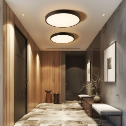 Plafony do Przedpokoju