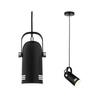 Neordic Lavea  lampa wisząca max. 1x15W E27 czarny 230V metal (PL79766) - PAULMANN