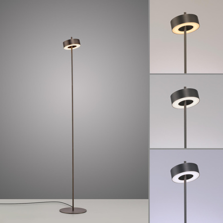 Lampa podłogowa ściemnialna, sterowana Smart Q-ROTATE BRĄZOWA (324-34) - Paul Neuhaus