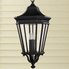 Lampa wisząca zewnętrzna Cotswold Lane (FE-COTSLN8-L-BK) - Elstead Lighting