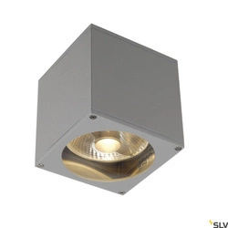 BIG THEO WALL, lampa ścienna outdoor, QPAR111, IP44, kwadratowa, srebrnoszara, maks. 75W (229564) - SLV