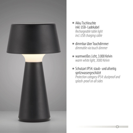 ABERA LAMPA STOŁOWA CZARNY (19260-18) - Paul Neuhaus