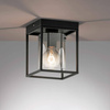 Lampa Sufitowa Samu  (21303) - Fischer&Honsel