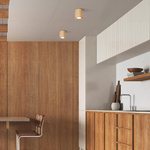 Lampa sufitowa EVE WOOD BUK (10121) - TK Lighting