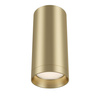 Lampa sufitowa Focus (C010CL-01MG) - Maytoni