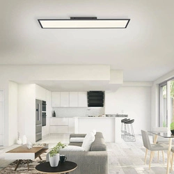 Lampa sufitowa FLAT (16533-18-O) - Paul Neuhaus