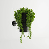 Kinkiet KUKKIA czarna (TH.005CZ) - Thoro Lighting