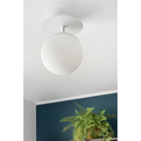 PLAAT C niebieska lampa ścienna / kinkiet z podwyższoną szczelnością IP44 (PLC190S0) - Ummo