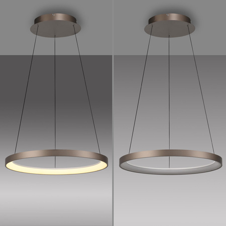 HOOP LAMPA WISZĄCA KAWOWY (2851-36) - Paul Neuhaus