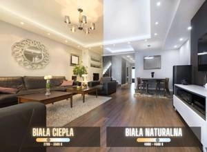 Reflektor szynowy czarny 3-fazowy Posh Cree COB 12W 4000K CRI90+ 36° (Abigali-RSL3C12NW-36)