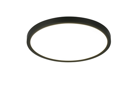 DRACO (R65891932) - RL