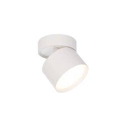 Kendal oprawa natynkowa biała z regulacją kąta świecenia (LP-6331/1SM WH movable) - Light Prestige
