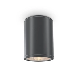 Lampa sufitowa  Bar (O306CL-L7GF) - Maytoni