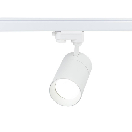 Reflektor LED 1-fazowy Vision 30W biały z przełącznikiem barwy światła (BLAUPUNKT-RS1W-30CCT)
