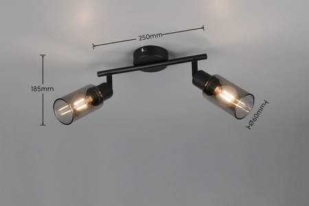 MARS (R80012032) - RL