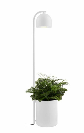 Lampa podłogowa BOTANICA XL (40848101) - Kaspa