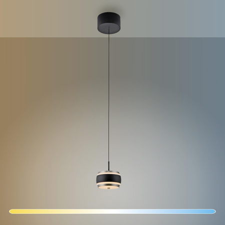 Lampa na pilota, z regulacją światła i wysokości PURE FALLING RINGS CZARNA (2503-18) - Paul Neuhaus