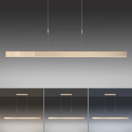 PURE-MOTO LAMPA WISZĄCA MATOWY MOSIĄDZ (2525-60) - Paul Neuhaus