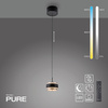 PURE FALLING RINGS LAMPA WISZĄCA CZARNA (2503-18) - Paul Neuhaus