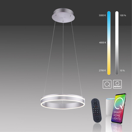 Q-VITO LAMPA WISZĄCA STALOWY (8410-55) - Paul Neuhaus