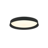 CEILING LIGHT 20W 3000K BLACK (22128 Zambelis) - Zambelis