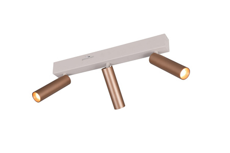 Lampa sufitowa z reflektorami AMBALA (849210365) - Trio