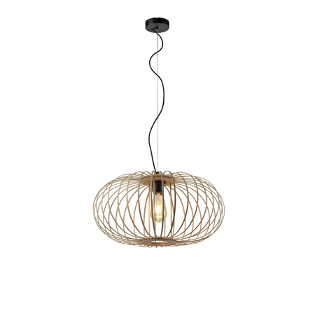 Lampa wisząca RACOON (11409-79) - Paul Neuhaus