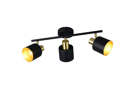 Lampa sufitowa z reflektorami EVA (868800380) - Trio