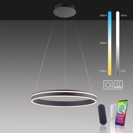 Q-VITO LAMPA WISZĄCA ANTRACYT (8411-13) - Paul Neuhaus