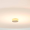 Plafon Tamar (TAMAR-F-M-PG) - Elstead Lighting