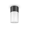 Lampa sufitowa Willis (O418CL-01B) - Maytoni
