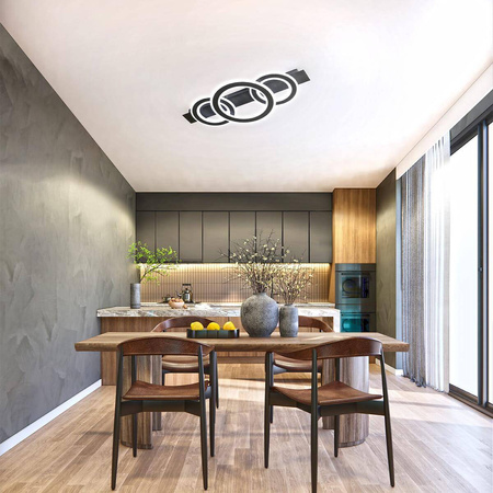 Lampa Sufitowa Circle  (21434) - Fischer&Honsel