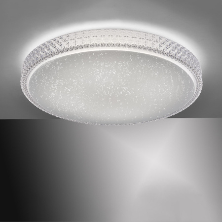 FRIDA LAMPA SUFITOWA TRANSPARENTNY (14372-00) - Paul Neuhaus