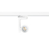 Oprawa Timor Track Biały 1xGU10 3-obwodowy (ML2282) - Milagro