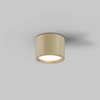 Lampa sufitowa Hydra (C090CL-10W3K-MG) - Maytoni