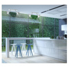 Feltre 3 kinkiet (LP-725/3W) - Light Prestige