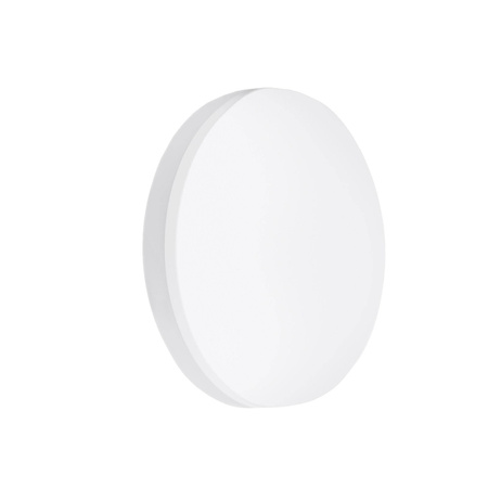 LED lampa WE-1906 MAX G2 1*4,6W White IP43 CRI80 3000K (03358W) - ZARlight