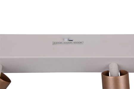 Lampa sufitowa z reflektorami AMBALA (849210365) - Trio