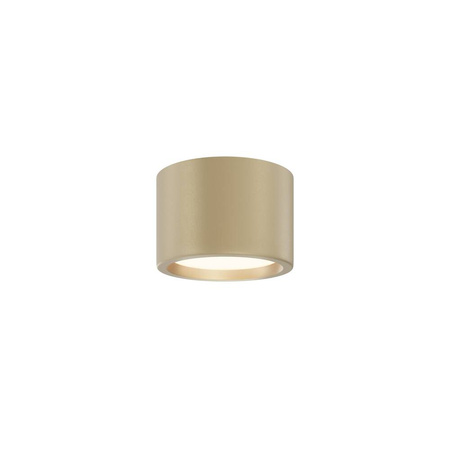 Lampa sufitowa Hydra (C090CL-10W3K-MG) - Maytoni
