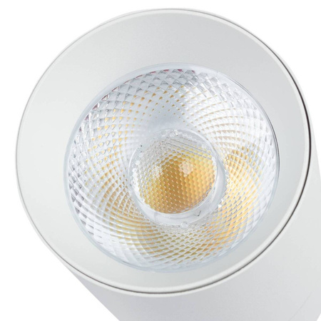 Reflektor LED 1-fazowy Vision 30W biały z przełącznikiem barwy światła (BLAUPUNKT-RS1W-30CCT)