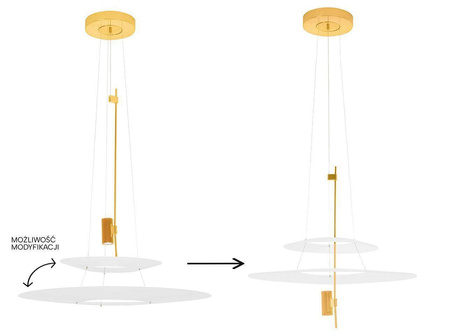 MOOSEE lampa wisząca PARROT 68 złota (MSE010100244) - Moosee