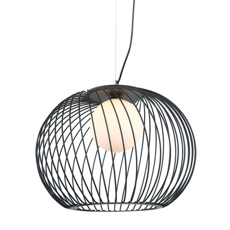 Lampa Wisząca Clarisa (MDM-3842-1 BK) - Italux