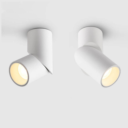 Oprawa nastropowa LED 24W kolor biały WW - Podwójna CRI 90+ (ABIGALI-ONBL12WW-2)
