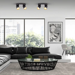 Lampa sufitowa Andy Spot 2 (ML9935) - Milagro