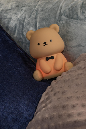 PINCHA BEAR (54500/01/43) - Lucide