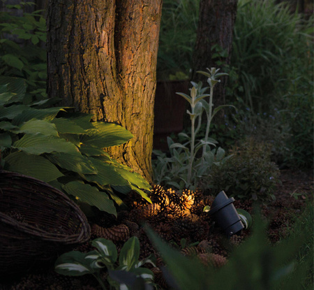 Lampa najazdowa i dogruntowa BUSH (3401) - Nowodvorski