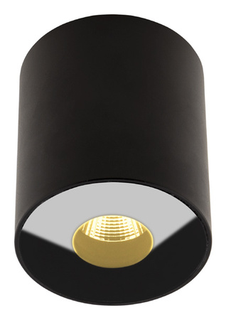 Oprawa sufitowa PLAZMA IP54 (C0151) - Maxlight