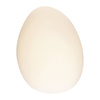 LED WALL LAMP 5W 3000K GLASS & IRON WHITE (20136 Zambelis) - Zambelis