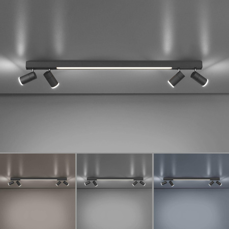 Lampa sufitowa PURE-LINES (6121-13) - Paul Neuhaus